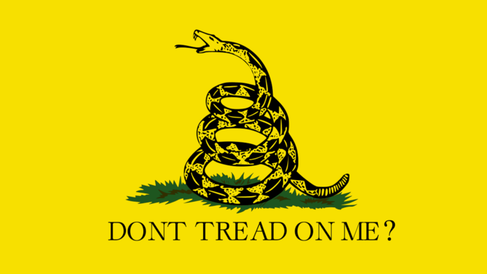 What is the Difference Between Libertarianism and Anarchism?